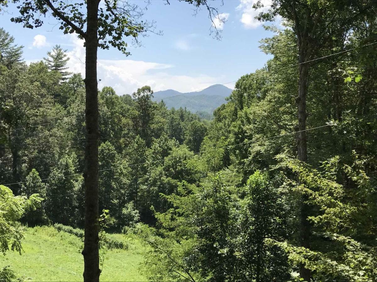 Moonshiner'S Hideaway Cabin Bryson City Exterior foto